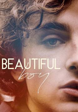 Beautiful Boy (2018)