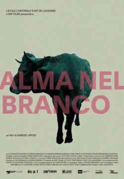 Alma Nel Branco (2020)